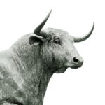 Bullish