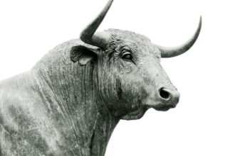 Bullish